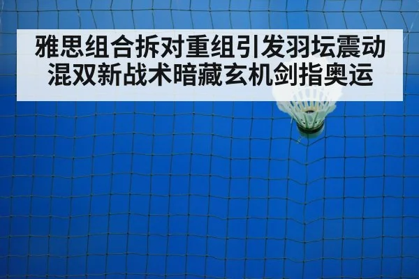 badminton training court