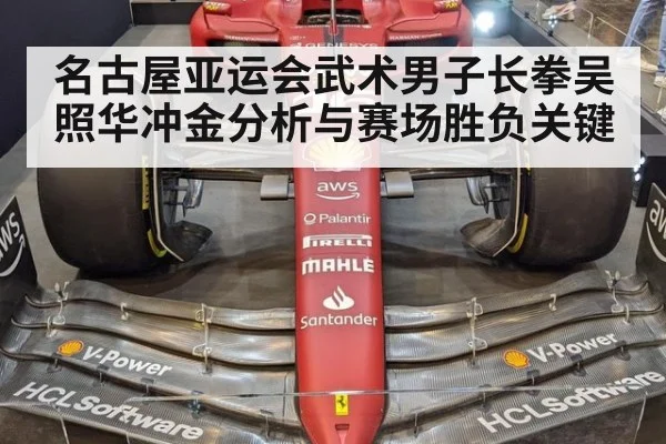 名古屋亚运会武术男子长拳吴照华冲金分析与赛场胜负关键